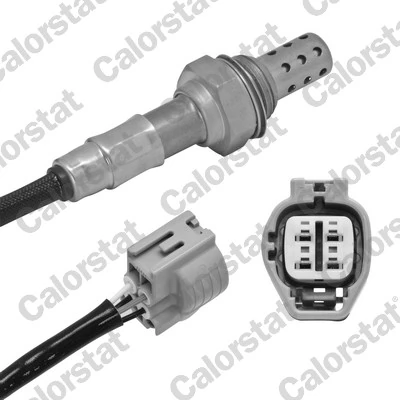 Oxygen Sensor